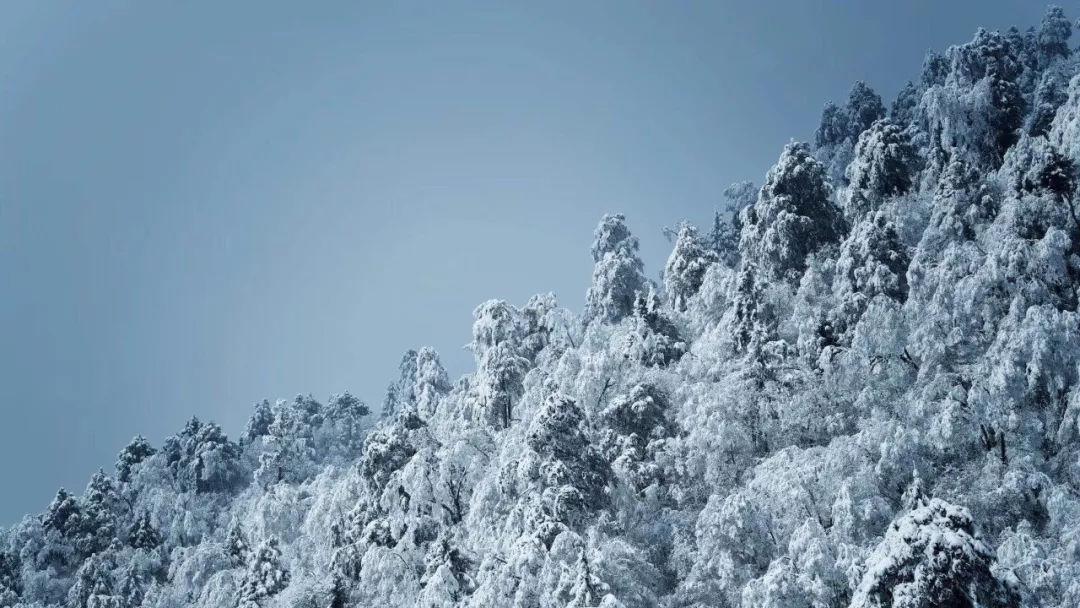 大丛林度假村逃生
